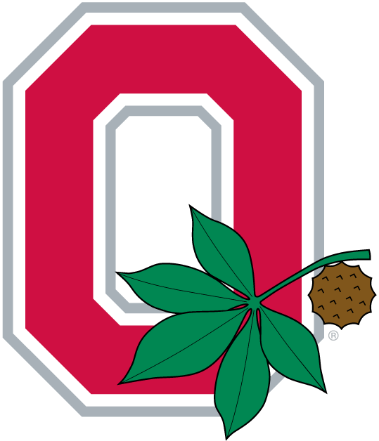Ohio State Buckeyes 1968-Pres Alternate Logo v2 diy iron on heat transfer